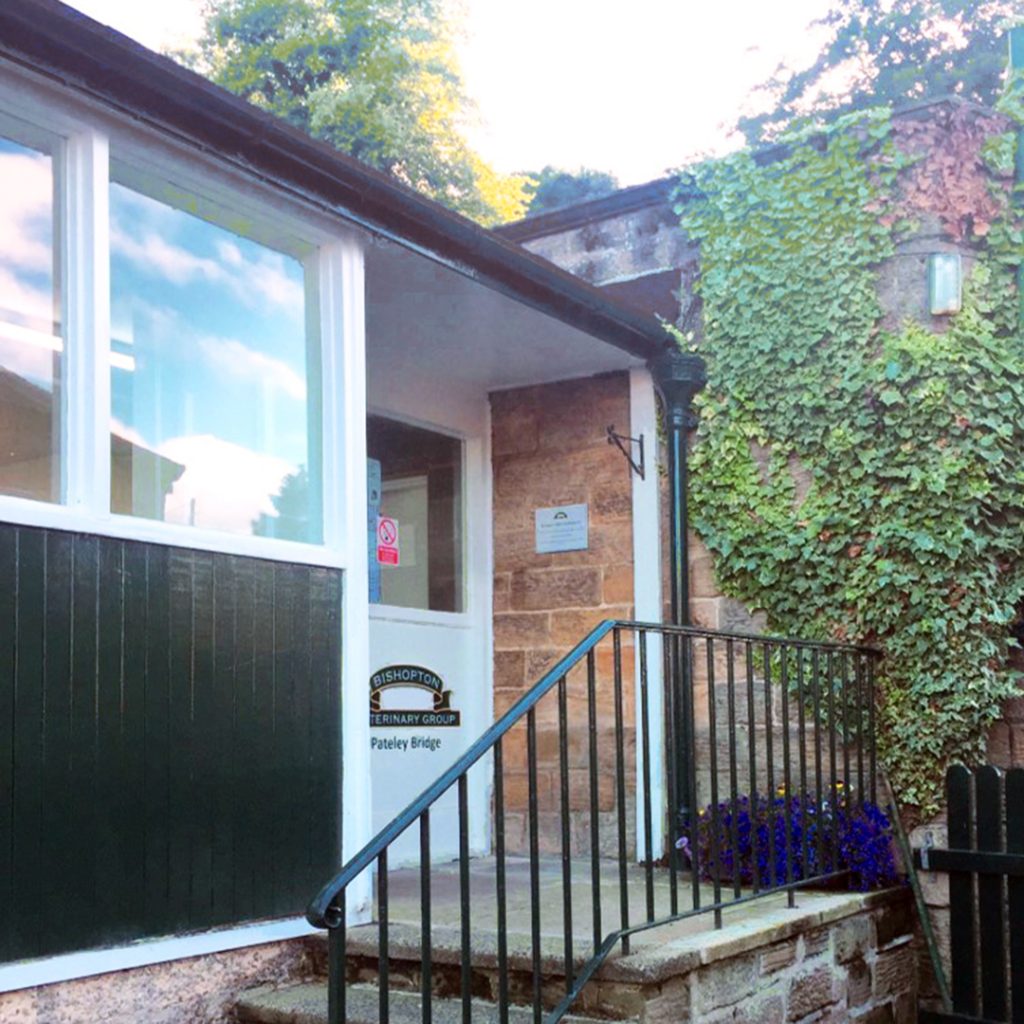 Bishopton Vets