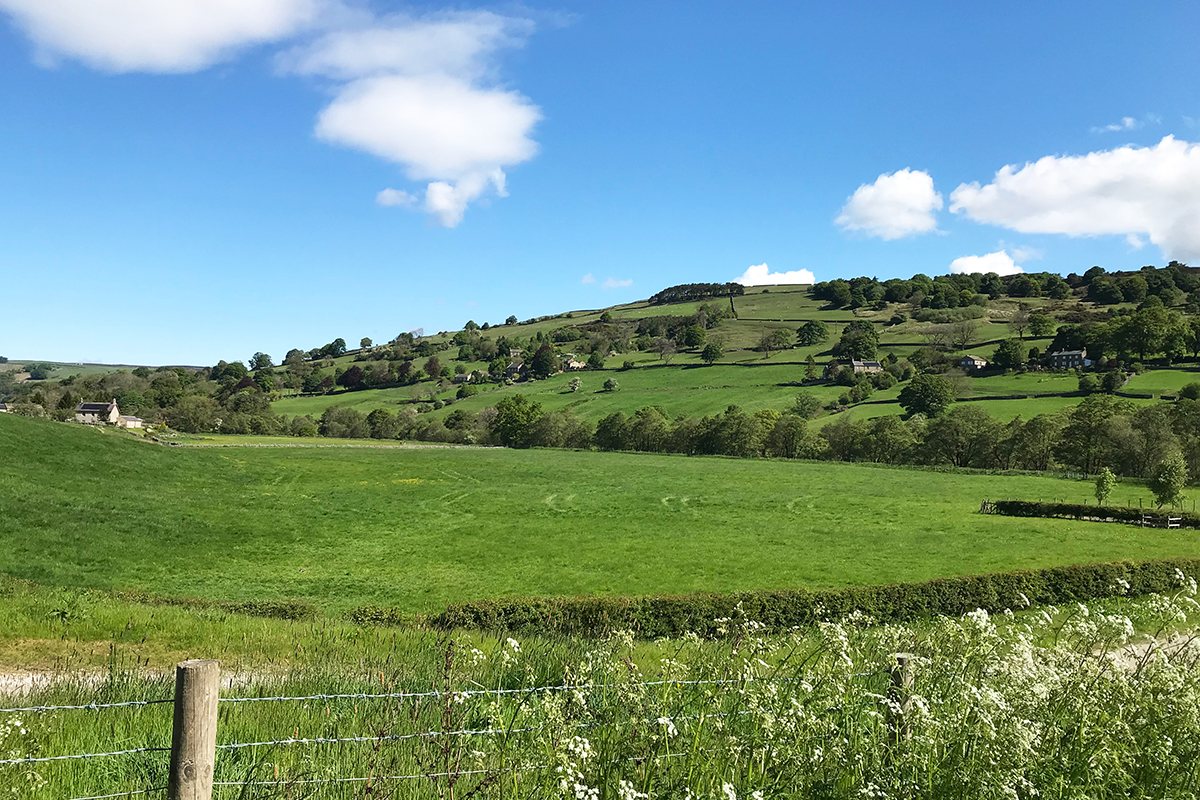 Nidderdale View