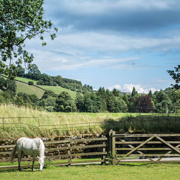 Bewerley Riding Centre
